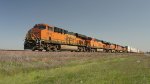 BNSF at Stockton